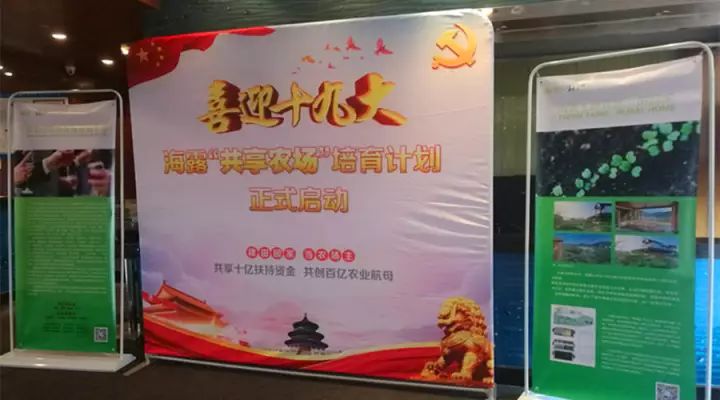 1-1G12323562J38 CA88(中国区)唯一官方网站