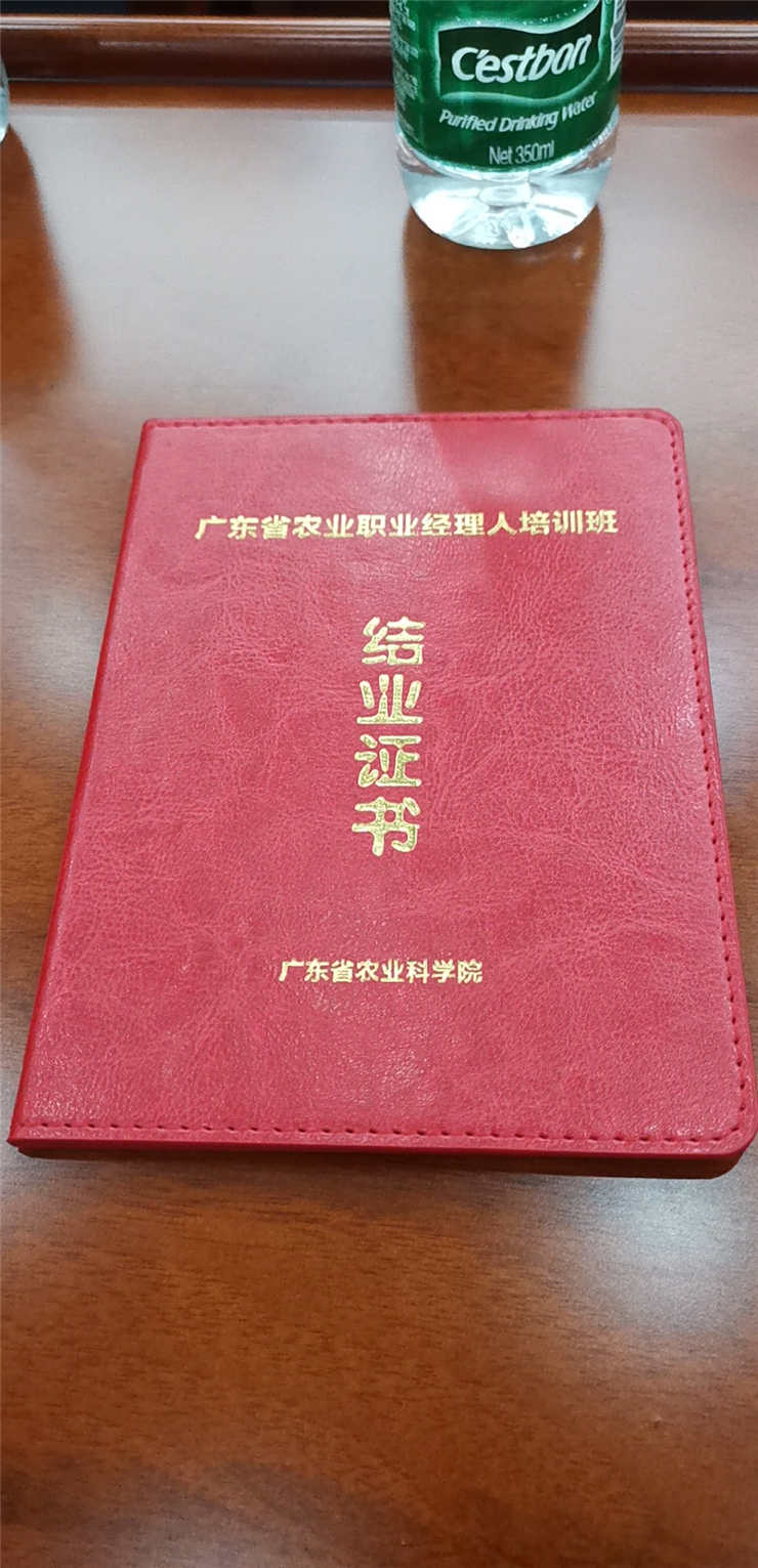 1-1Z419161613R5 CA88(中国区)唯一官方网站
