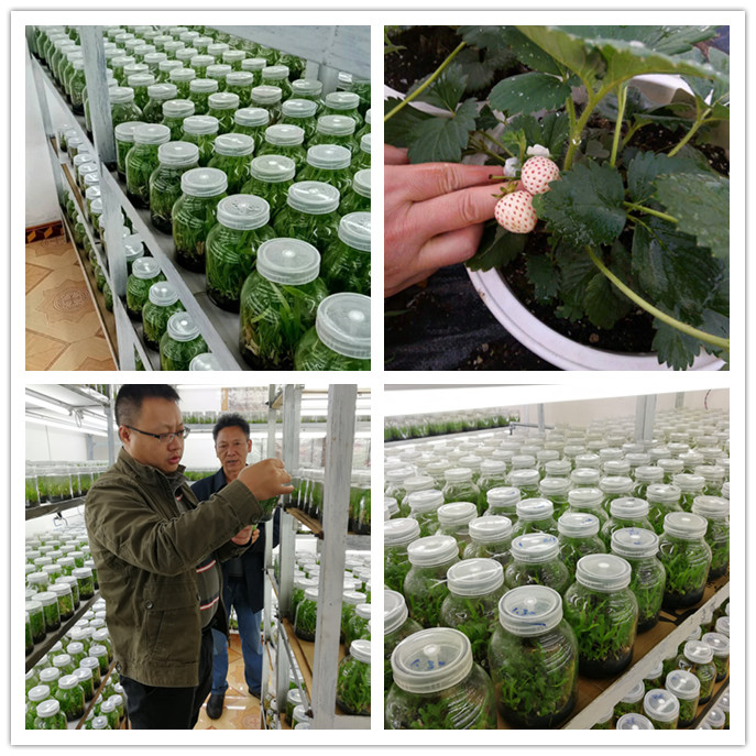 CA88(�й���)Ψһ�ٷ���վ