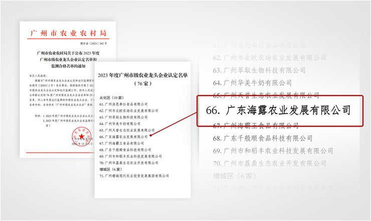 CA88(�й���)Ψһ�ٷ���վ