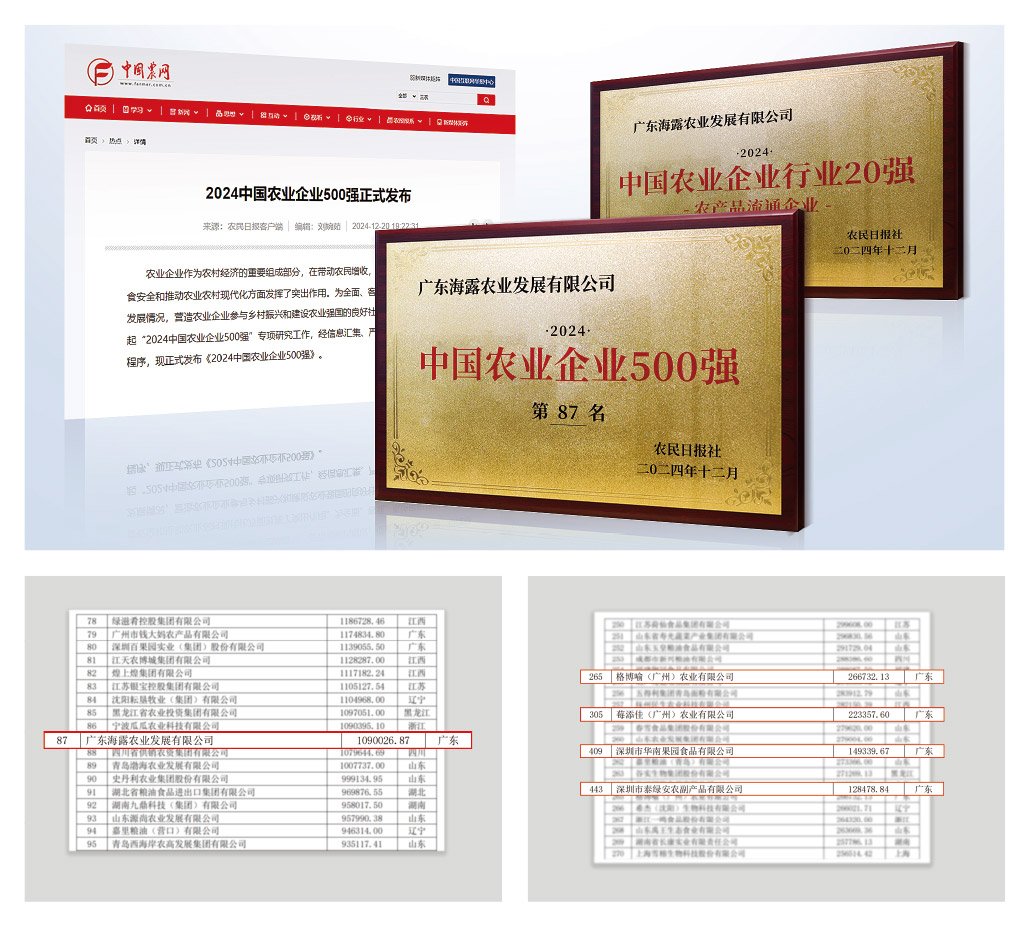 CA88(�й���)Ψһ�ٷ���վ