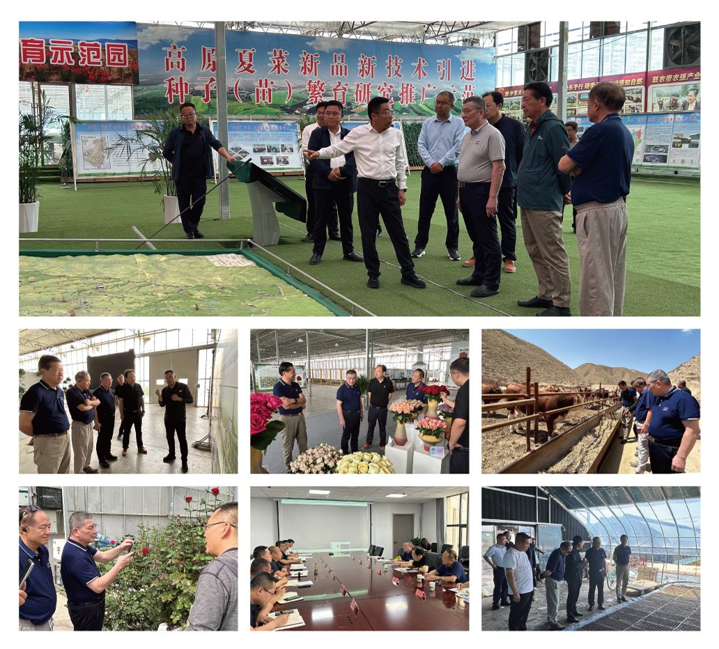 CA88(�й���)Ψһ�ٷ���վ